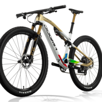 Website hero-P25 DOGMA XC G160 XTR DTSWISS ORE8.png?VersionId=evgwBIlCu6q7UbC